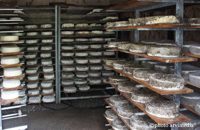 affinage tomme de Savoie Les tommes sont affinées plusieurs mois dans notre cave et retournées chaque jour.