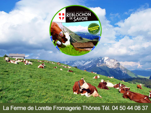 vente direct de fromages de la ferme issus des alpages du plateau de Beauregard en haute Savoie reblochon tomme fermière arvimedia