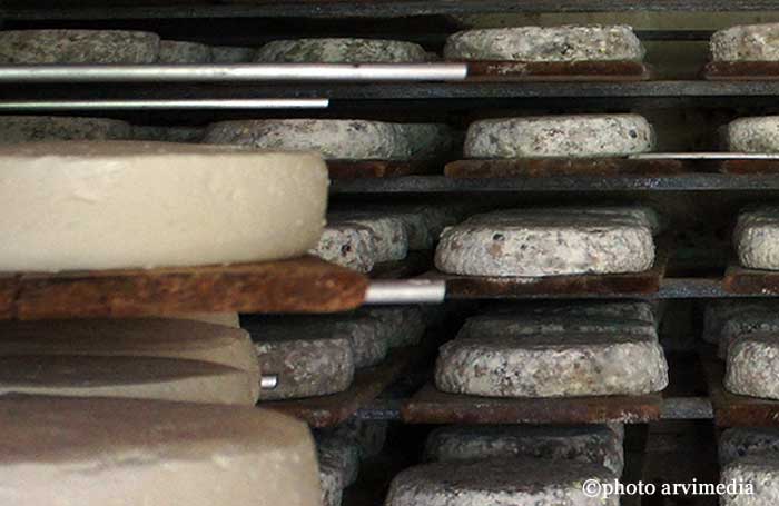 cave d'affinage dans chalet savoyard cave en forme de voûte ou le fromage est maintenu à une température de 8 à 13 degrés