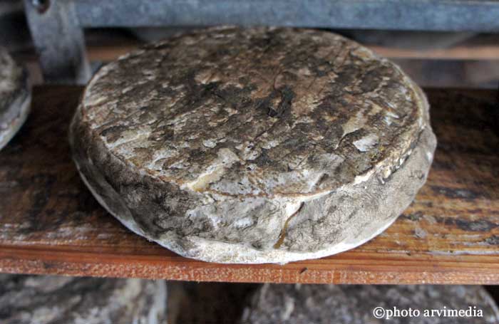 producteur de fromage Thônes Les tommes fabriquées avec du lait issu de bêtes pâturant l'été sont plus parfumées.