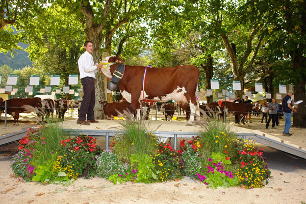 la foire de la Saint Maurice à lieu chaque année au mois de septembre à Thônes